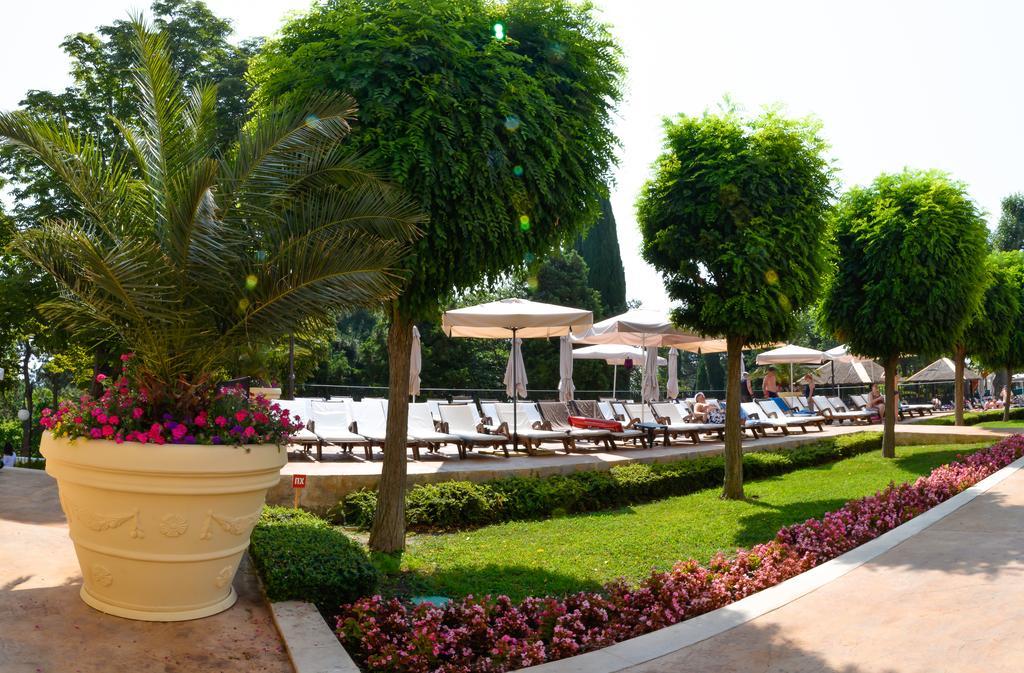 فندق مليا جراند هيرميتدج غولدن ساندز المظهر الخارجي الصورة The pool area